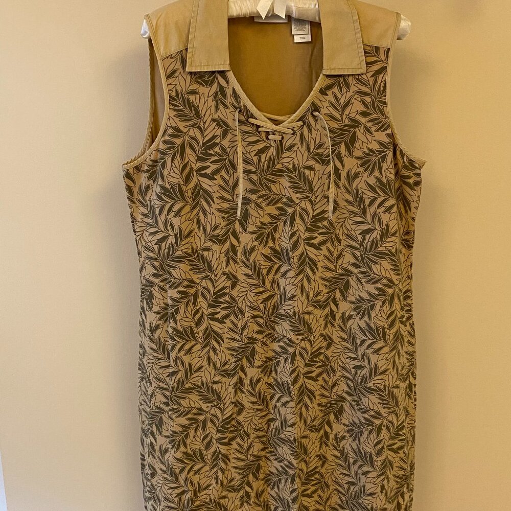 Ladies dress